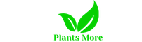 Plants More